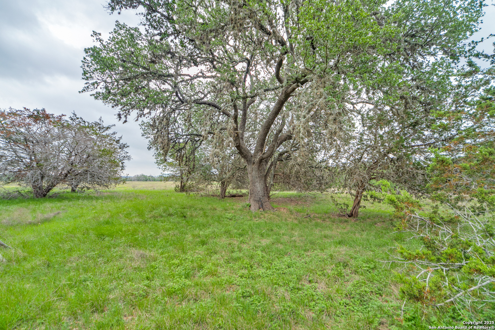 TBD 37 ACRES Elm Pass