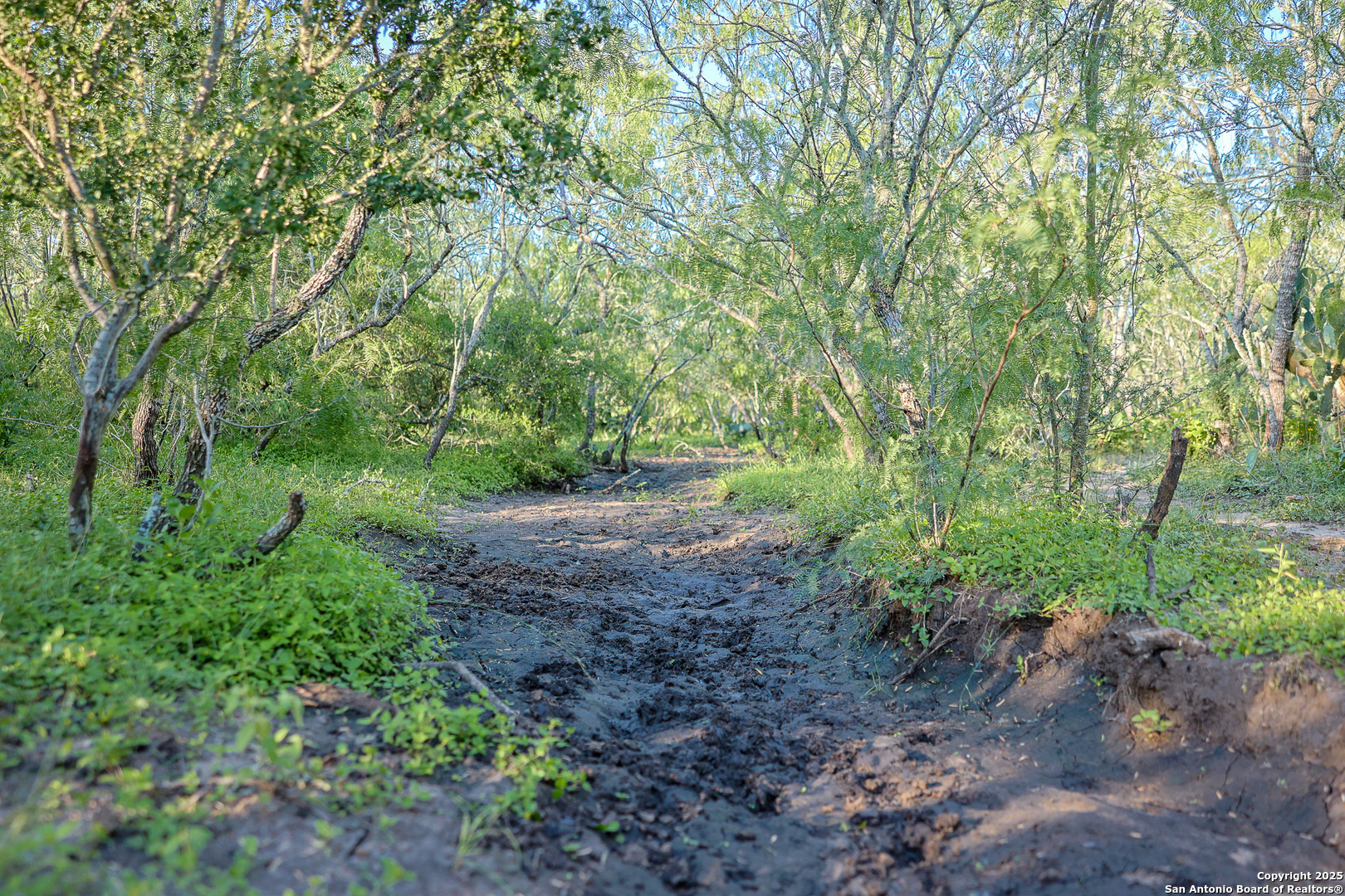 000 County Line Rd # 120