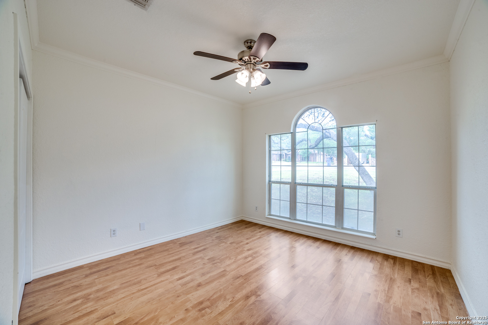 3343 Dove Park Ln