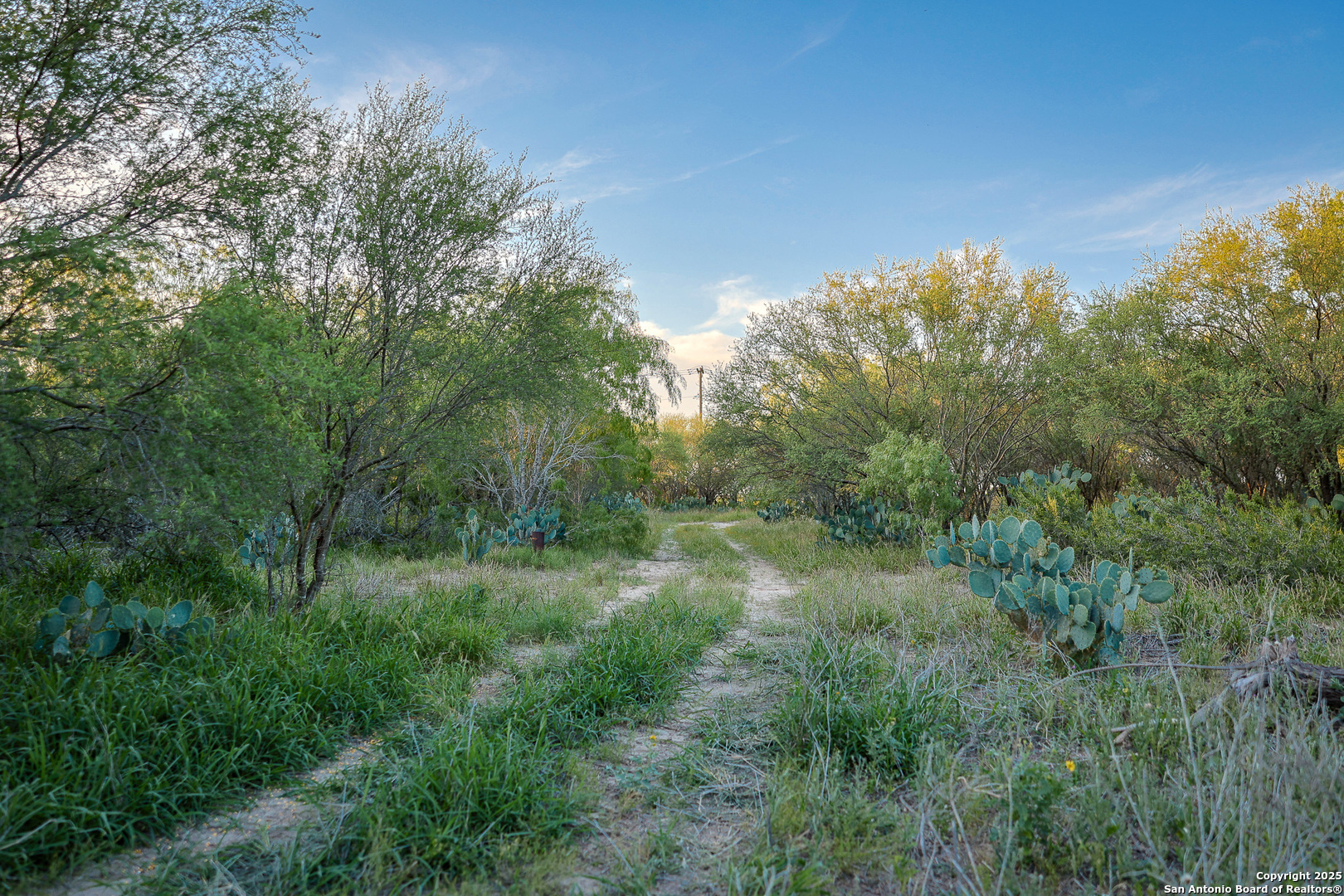 6266 Highway 281