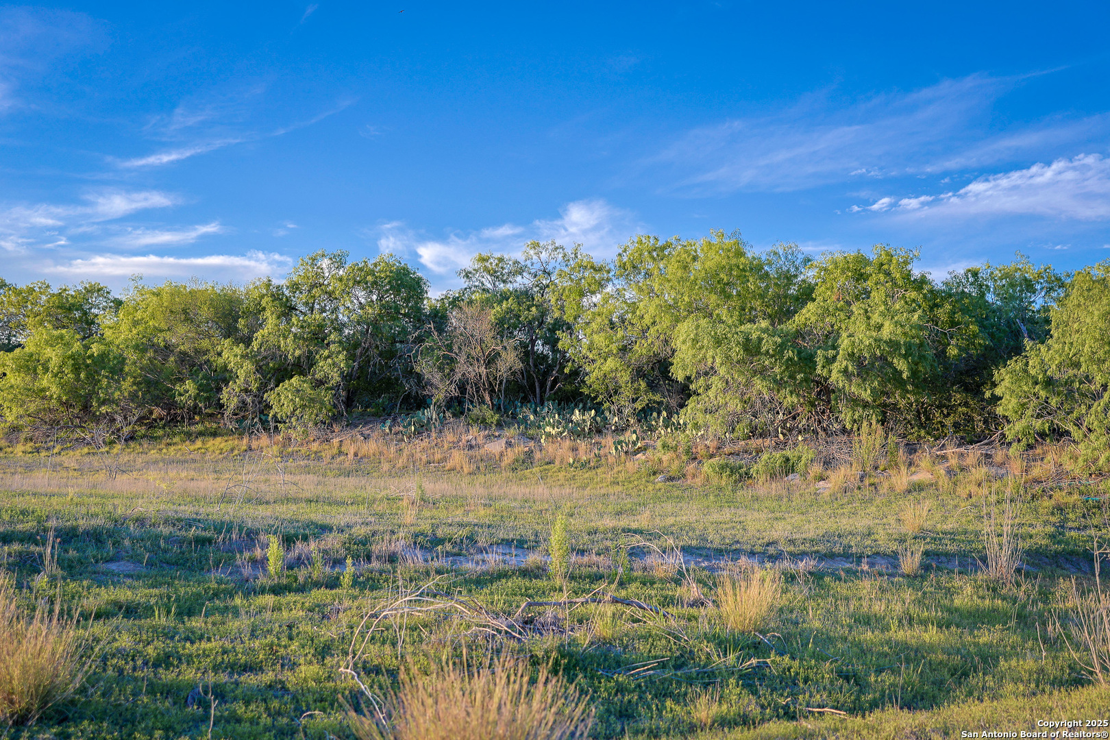 6266 Highway 281