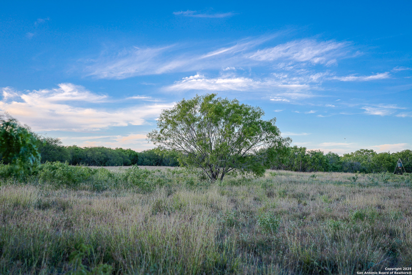 6266 Highway 281