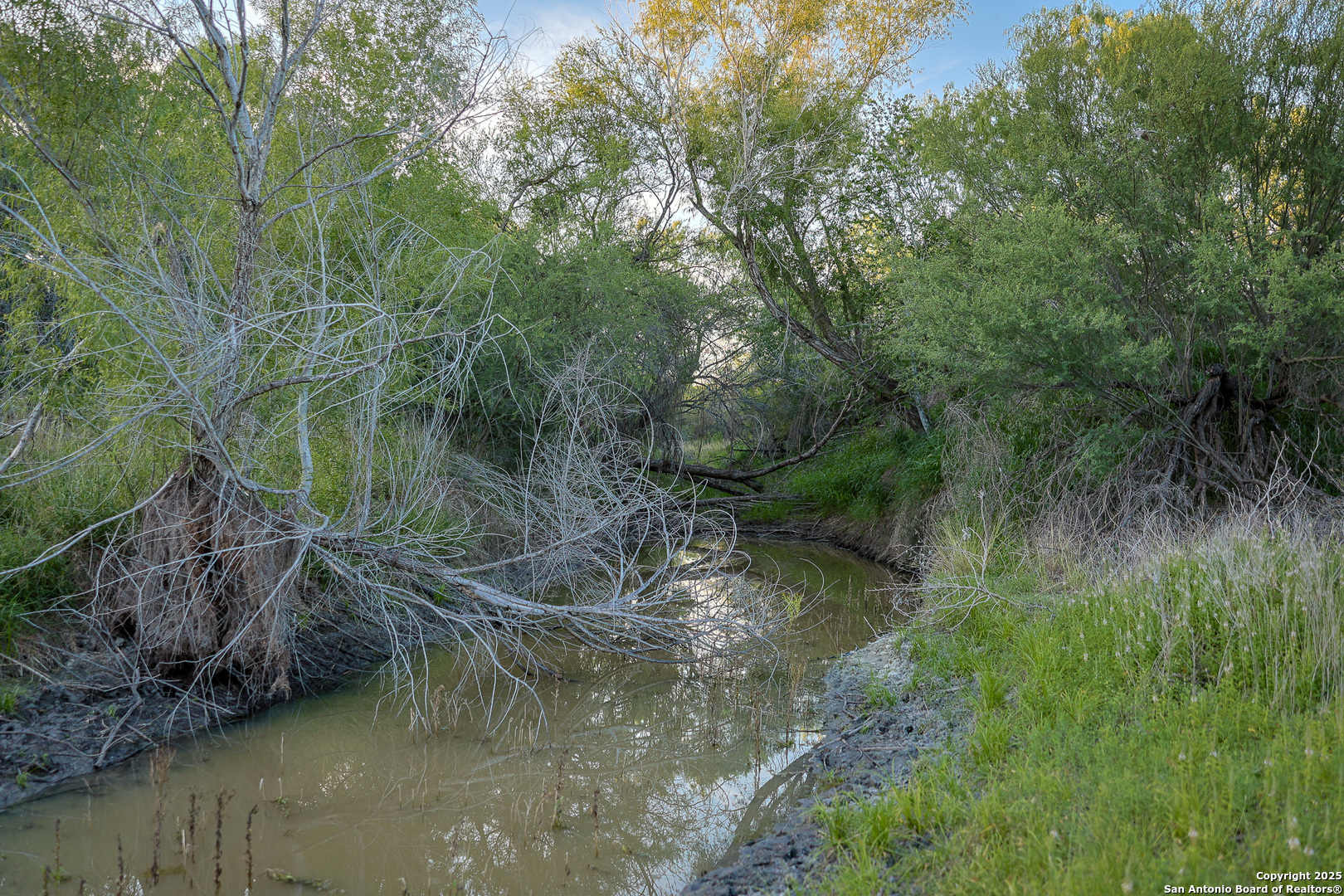 6266 Highway 281