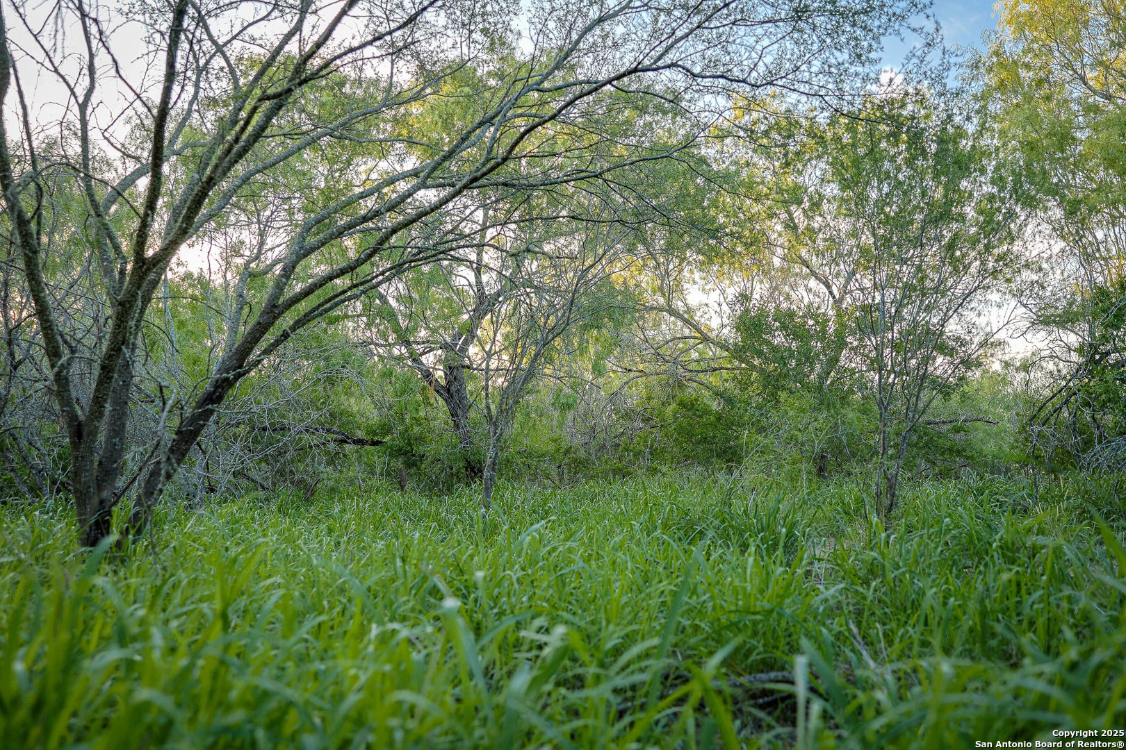 6266 Highway 281