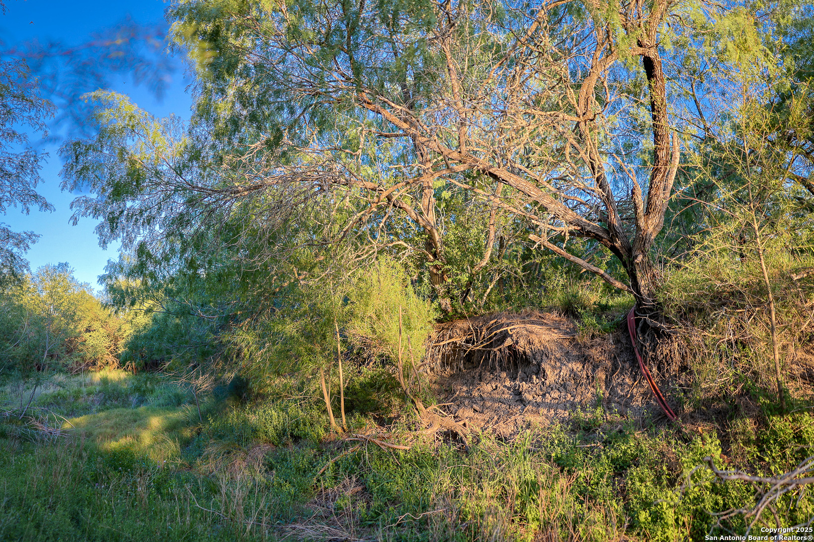 6266 Highway 281