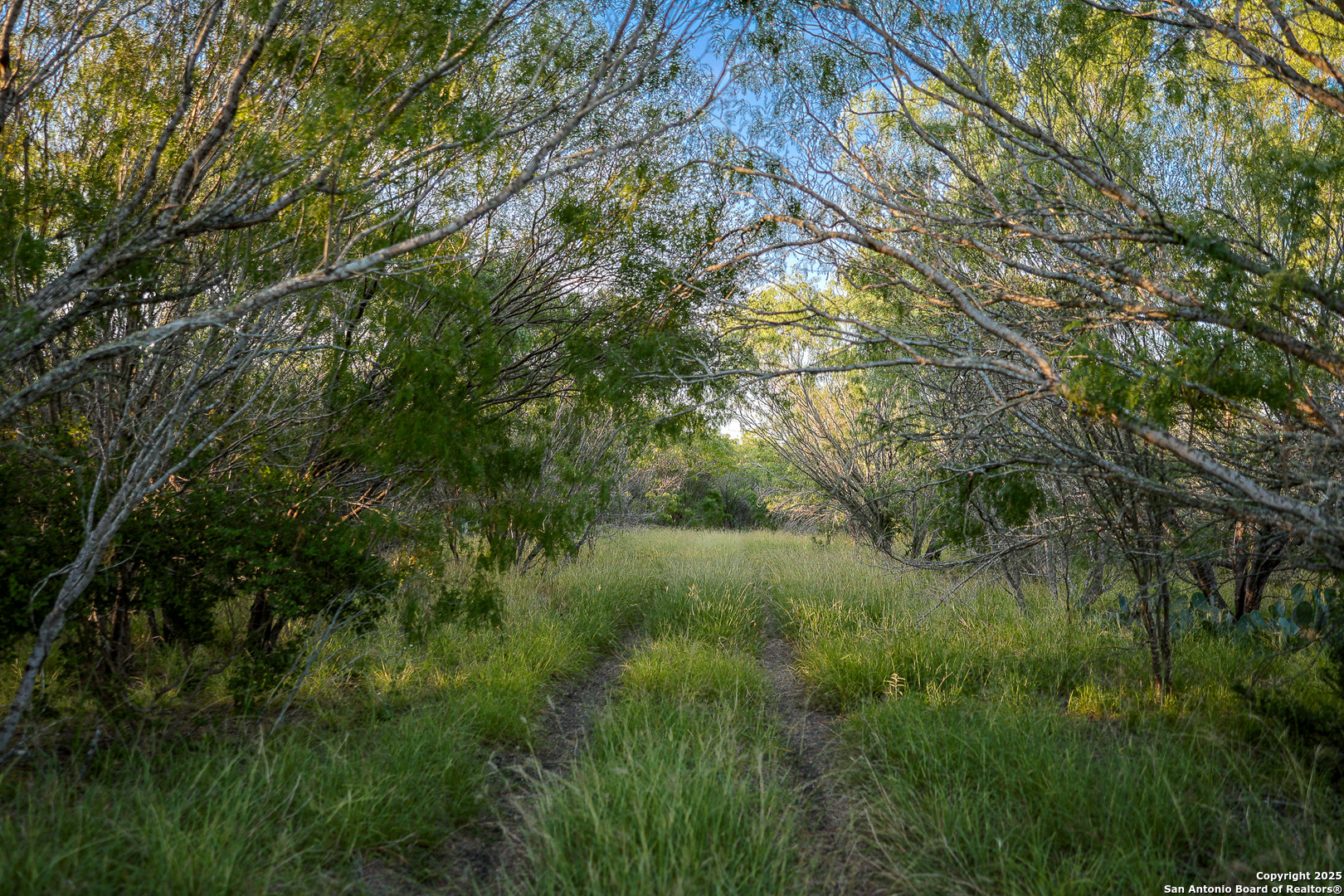 6266 Highway 281