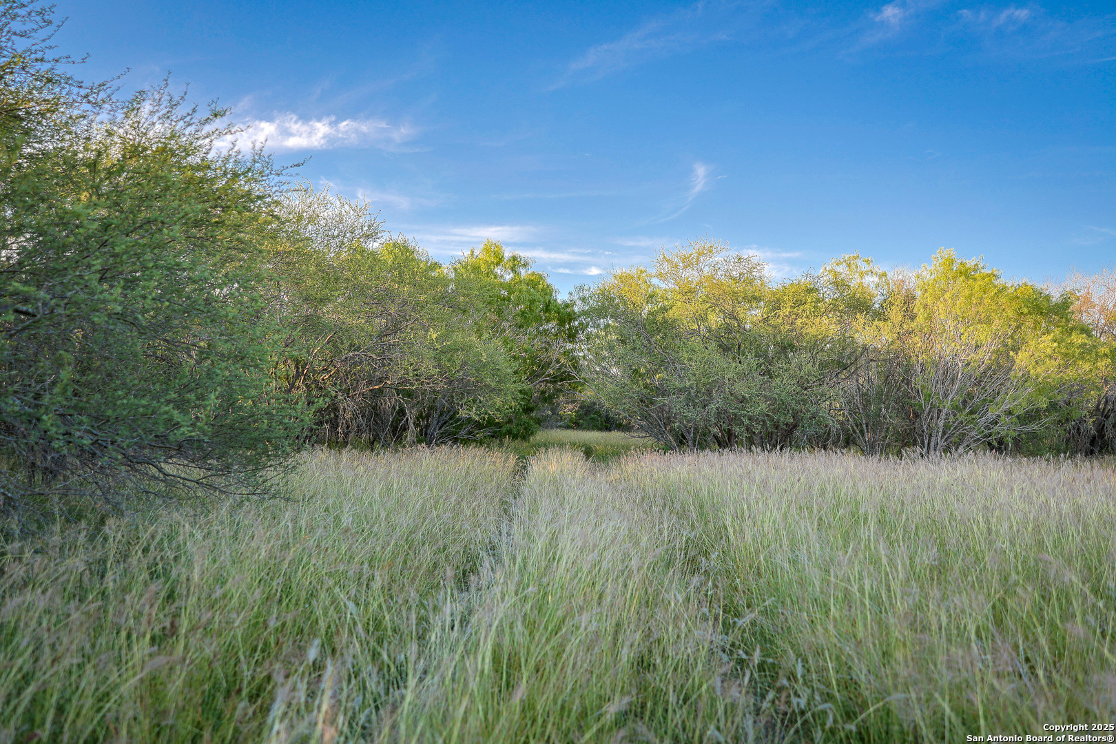 6266 Highway 281