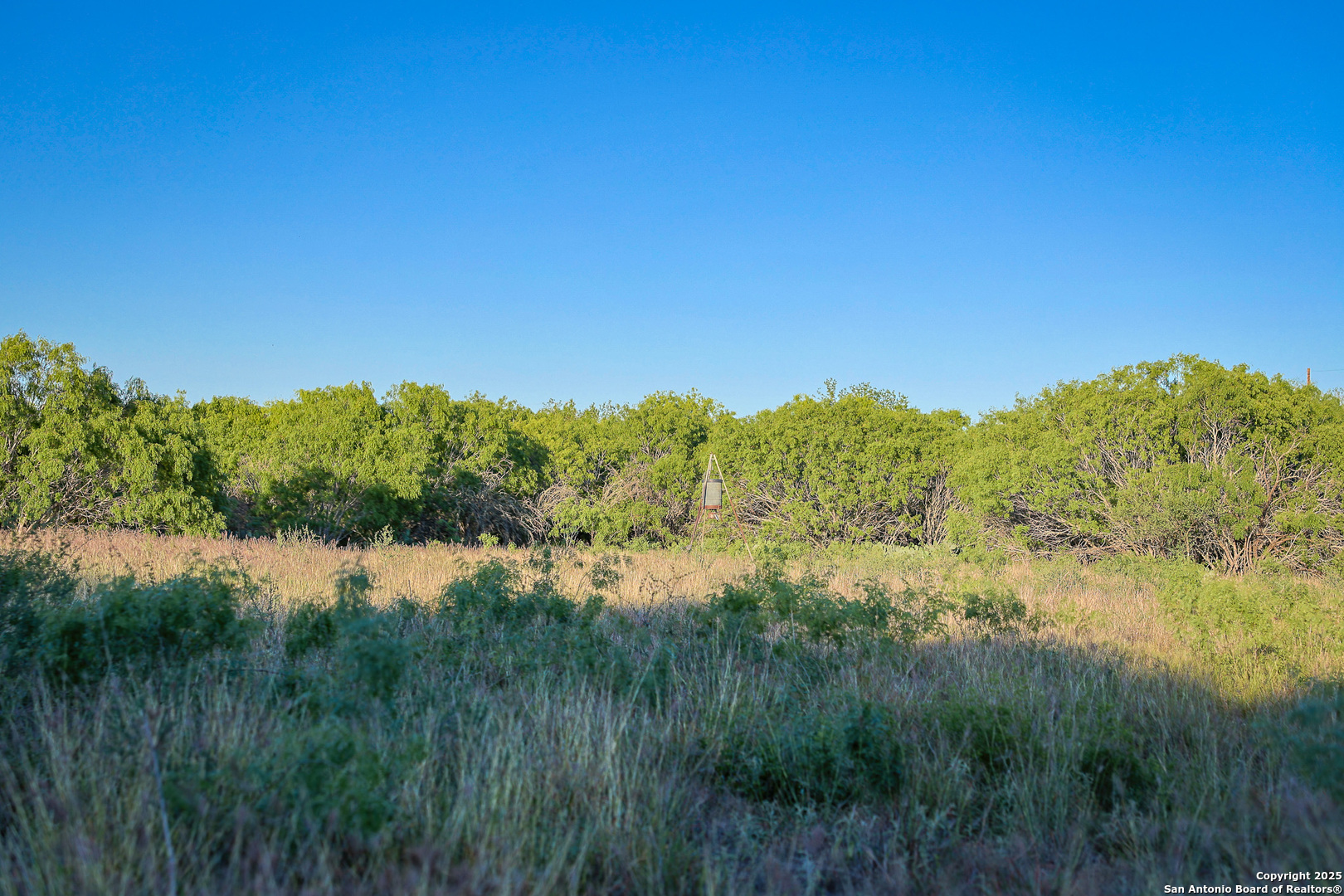 6266 Highway 281