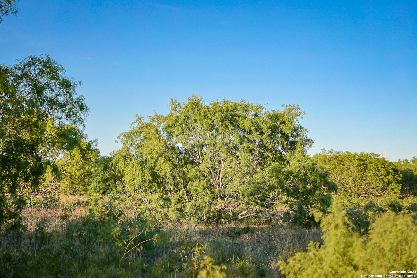 6266 Highway 281