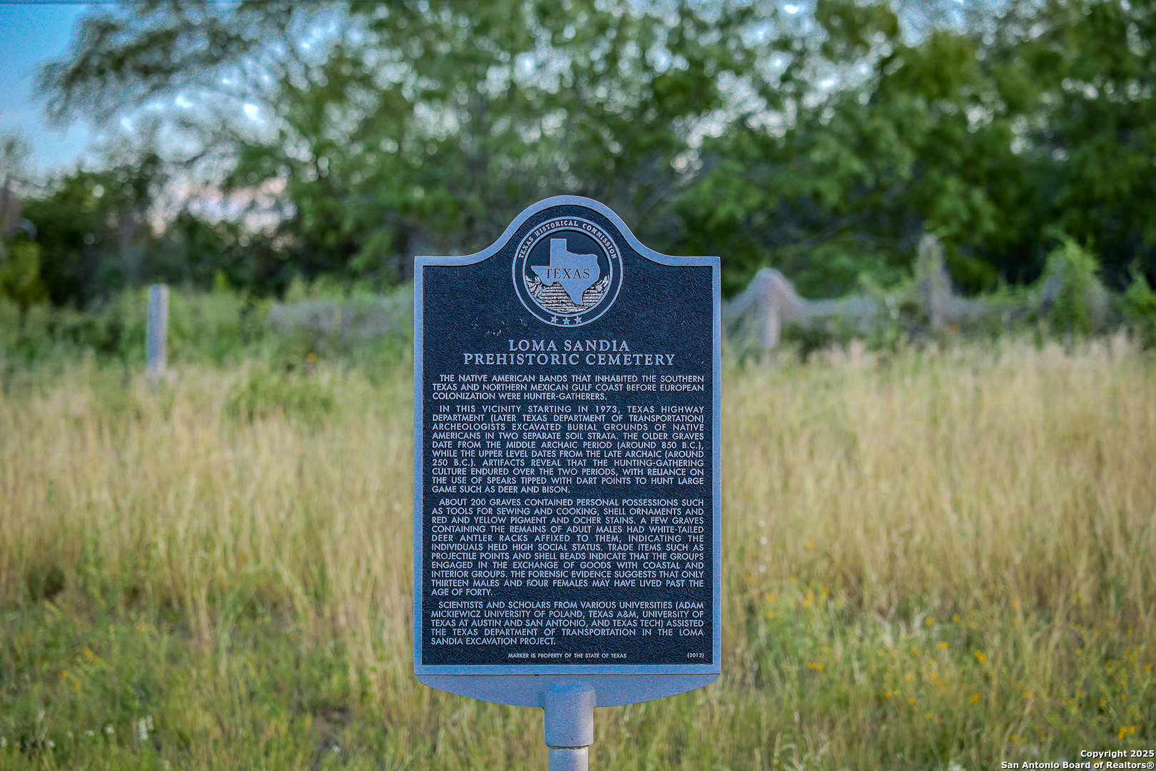 6266 Highway 281