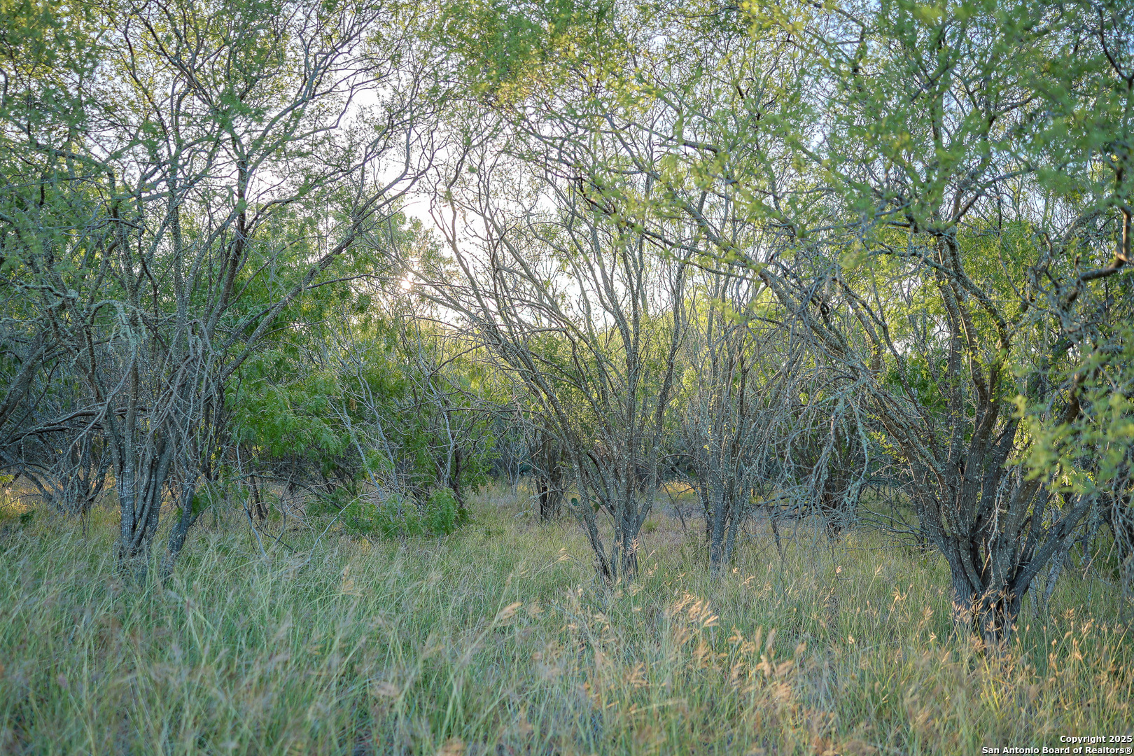 6266 Highway 281