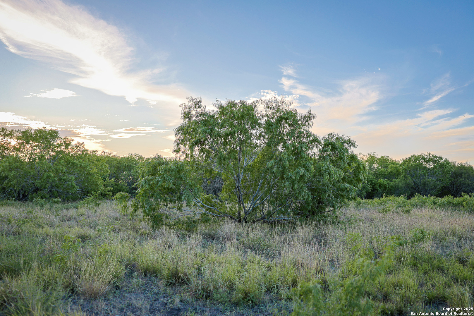 6266 Highway 281