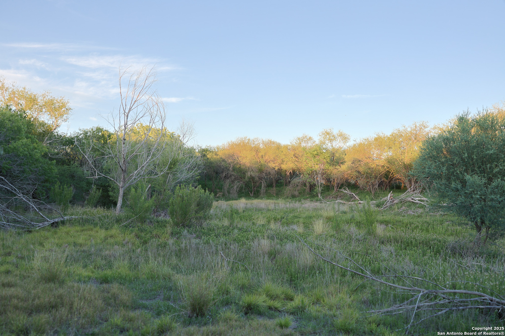 6266 Highway 281