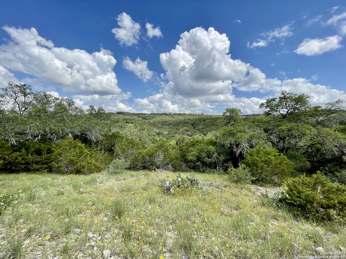 LOT 438 County Rd 2763