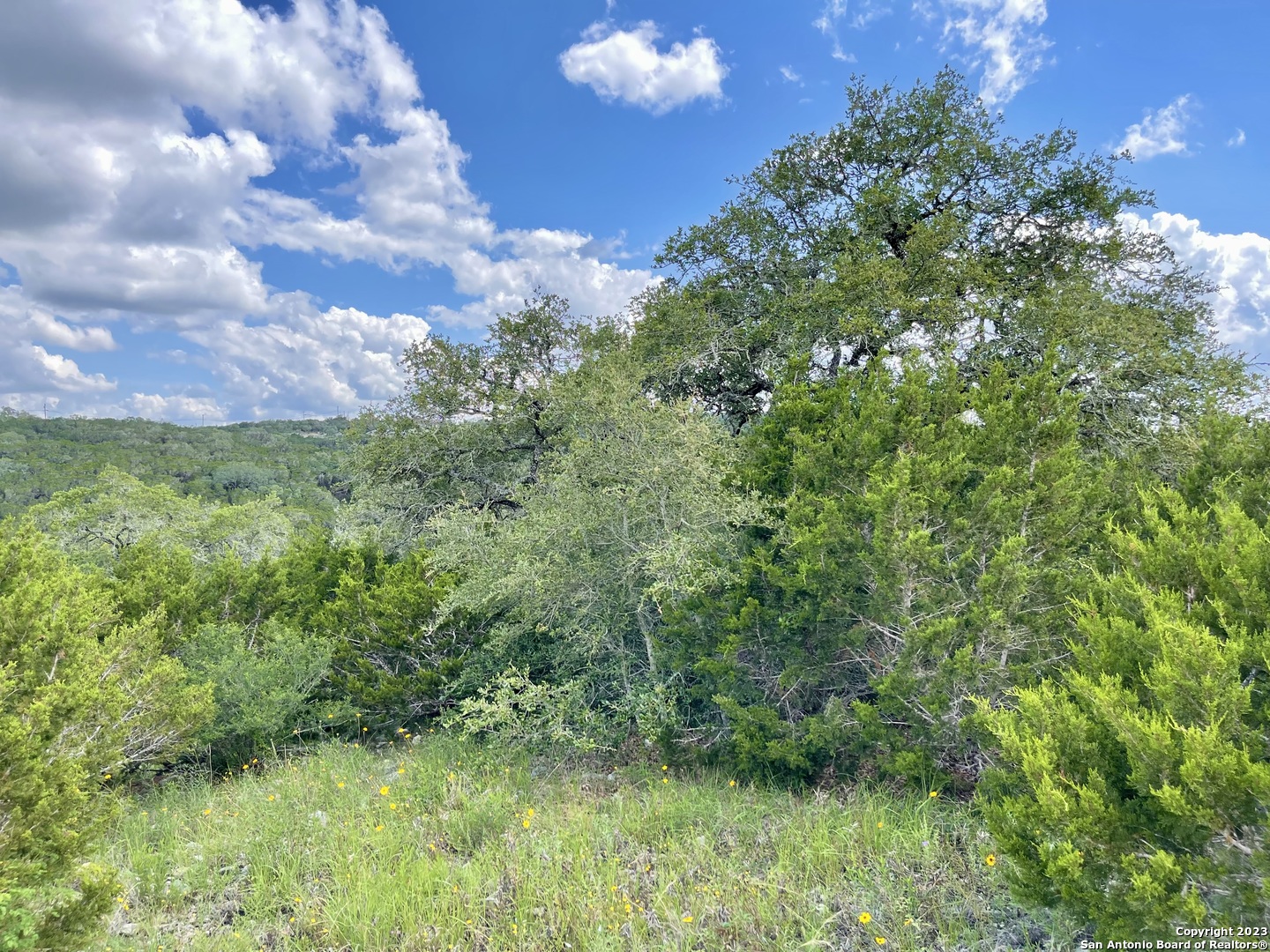 LOT 438 County Rd 2763