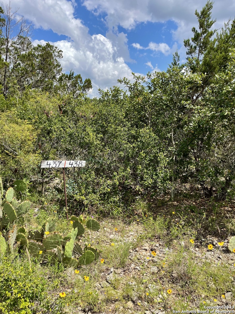 LOT 438 County Rd 2763