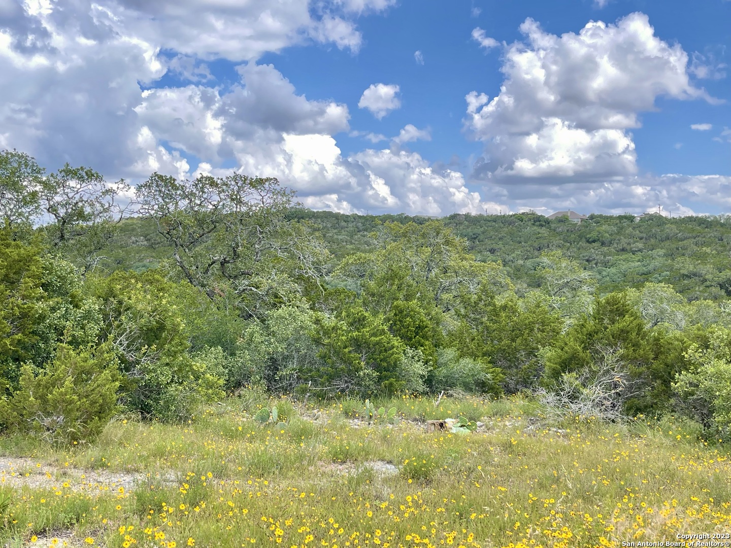 LOT 438 County Rd 2763