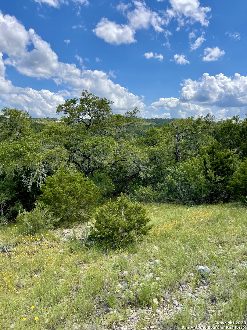 LOT 438 County Rd 2763