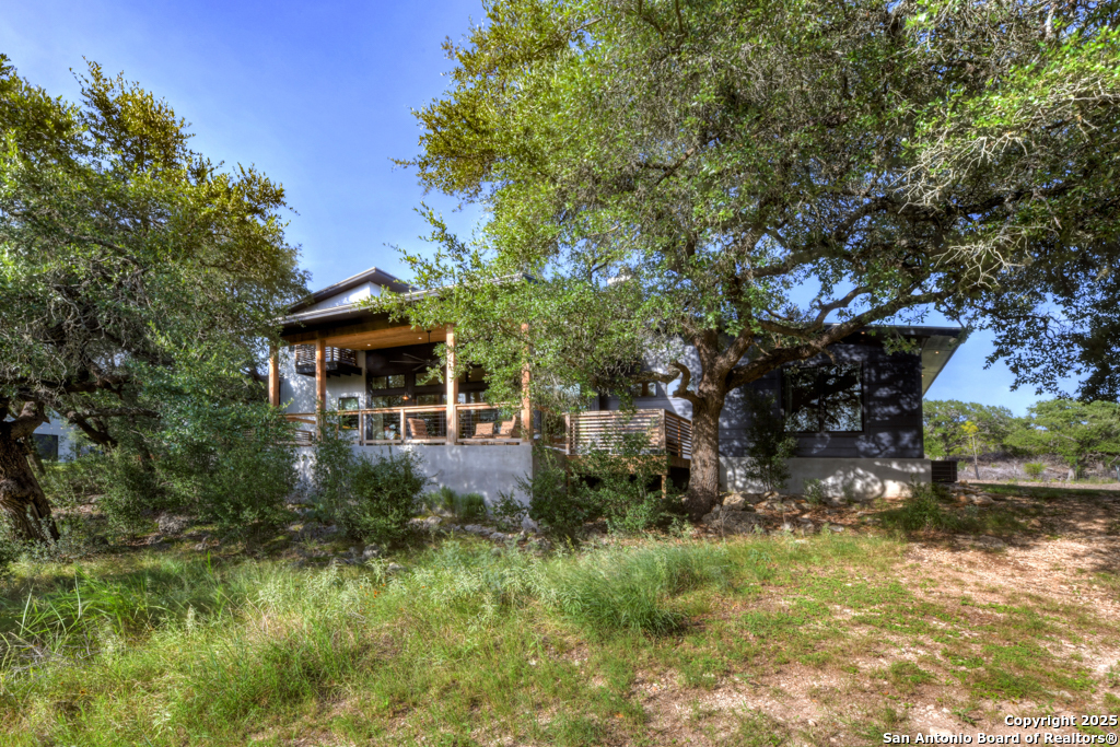 1855 Texas Oaks