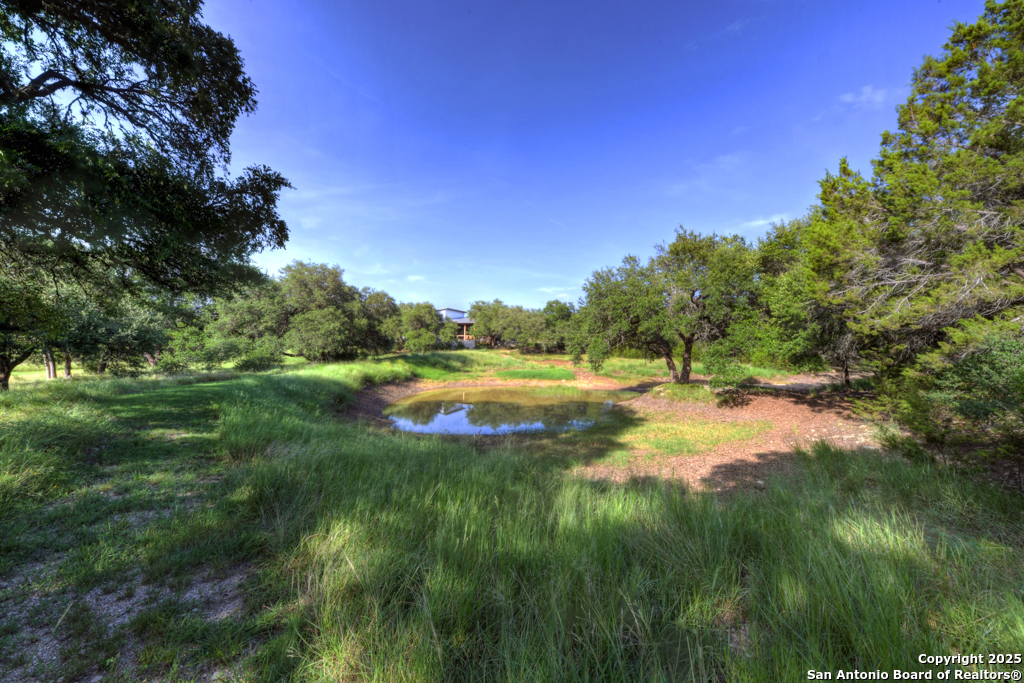 1855 Texas Oaks