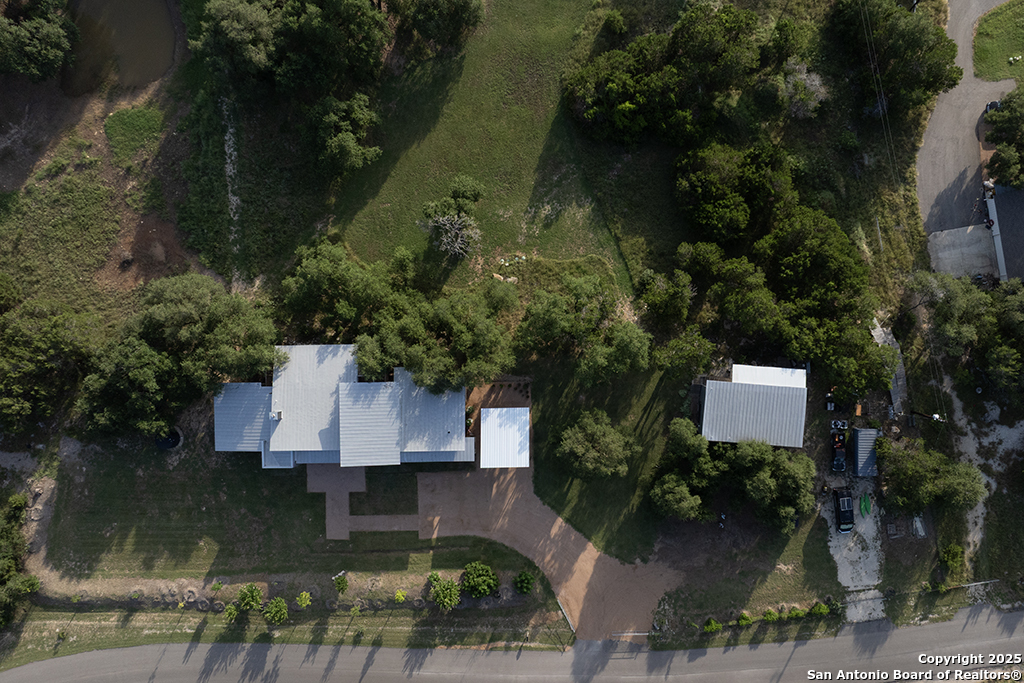 1855 Texas Oaks