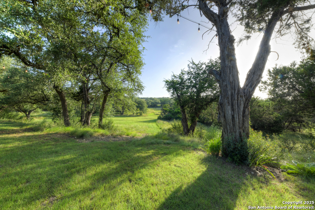 1855 Texas Oaks