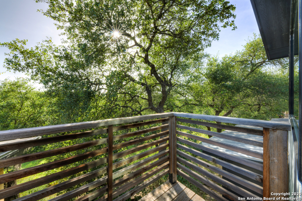 1855 Texas Oaks