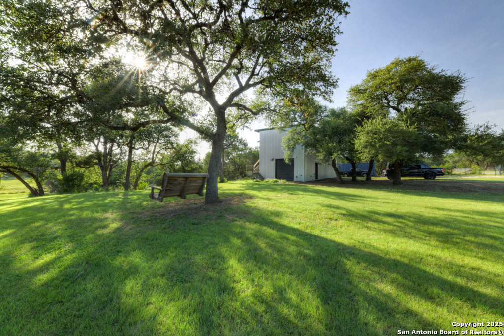 1855 Texas Oaks