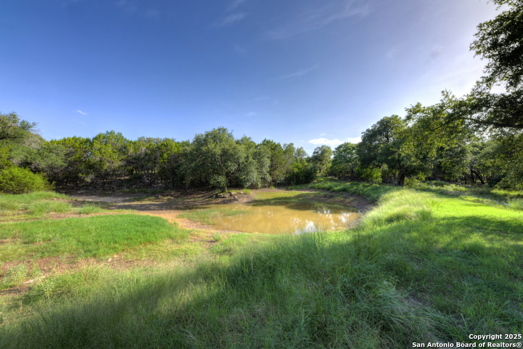 1855 Texas Oaks