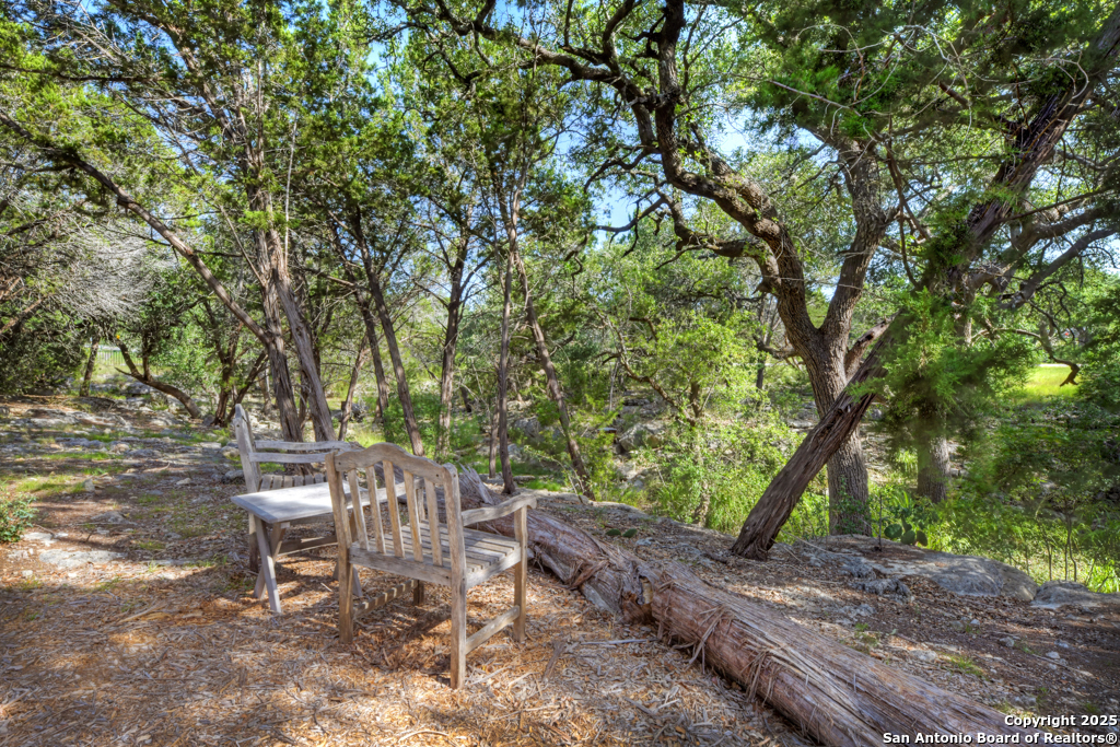 1855 Texas Oaks