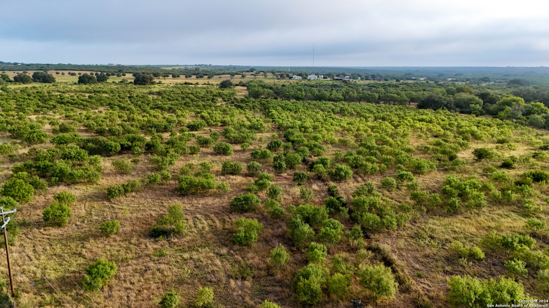 +/- 24.6 ACRES Hwy 173