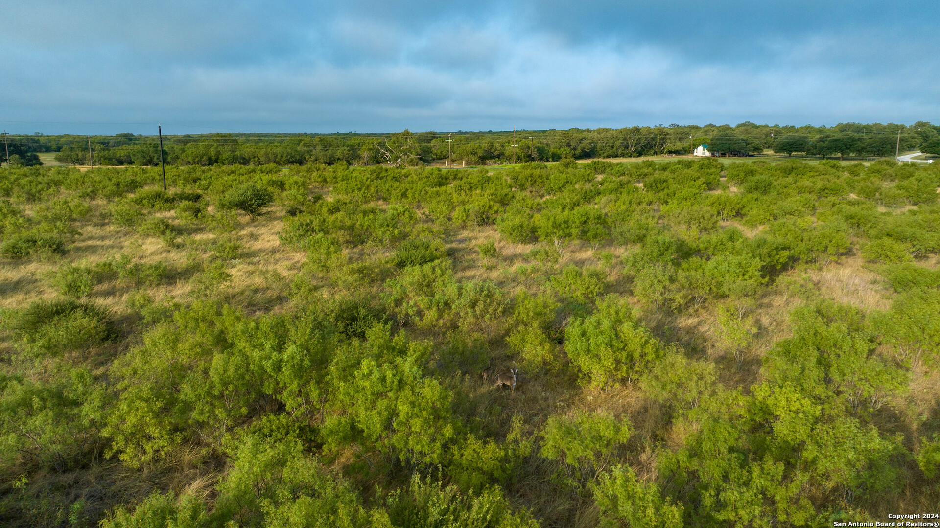 +/- 24.6 ACRES Hwy 173