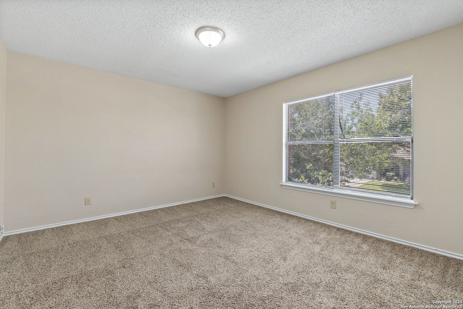 8023 Chestnut Cedar