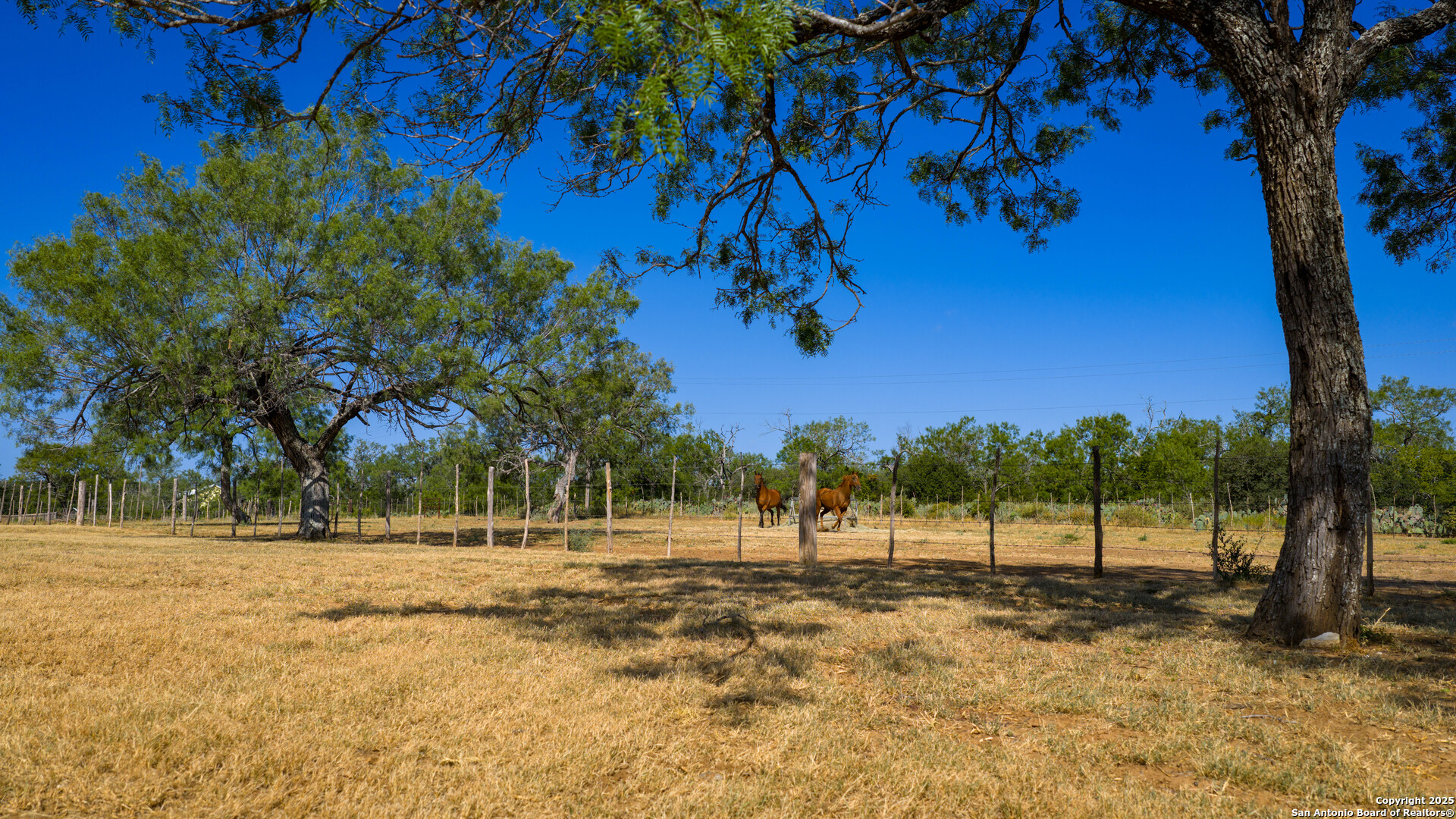 1143 State Highway 173
