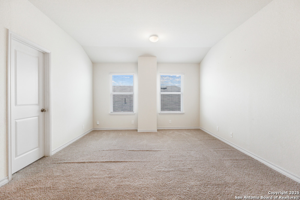 13110 Needle Grass