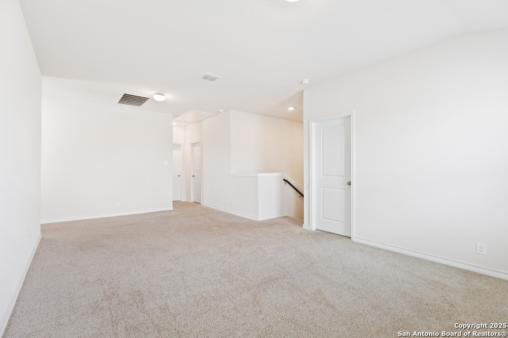 13110 Needle Grass