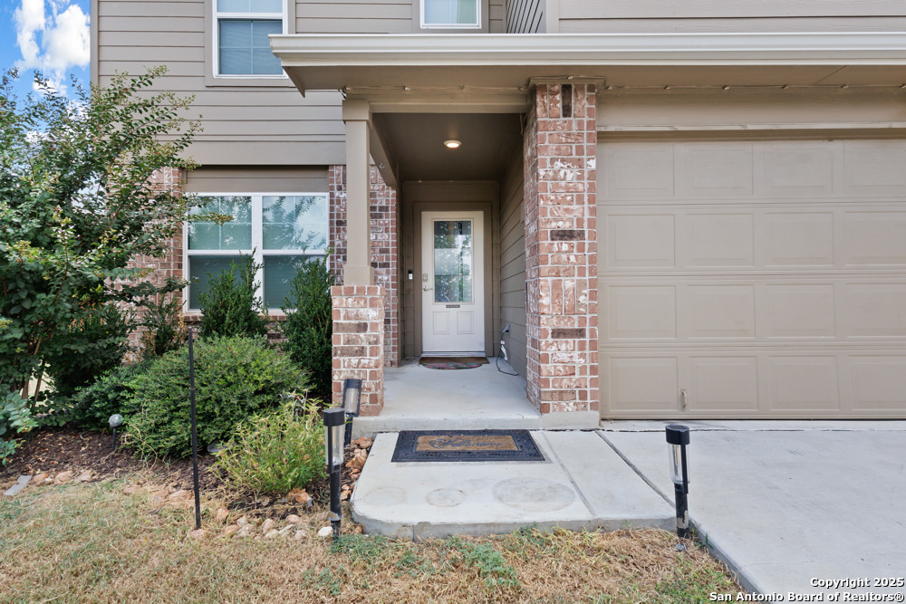 13110 Needle Grass