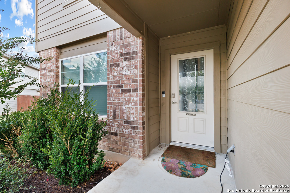 13110 Needle Grass