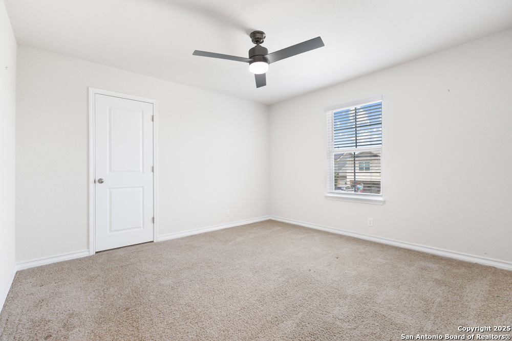 13110 Needle Grass