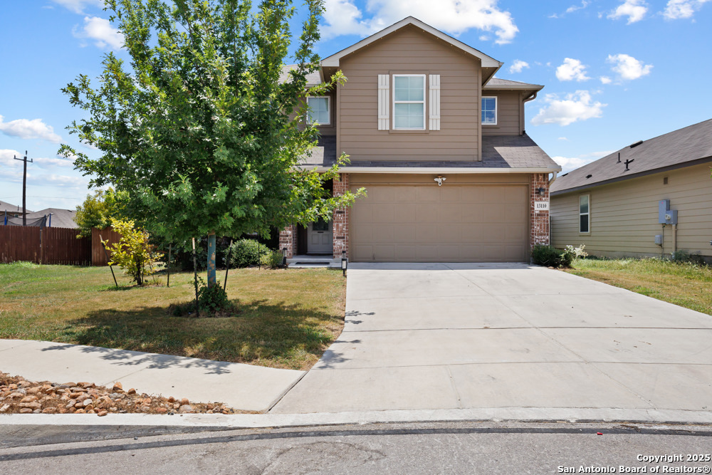 13110 Needle Grass