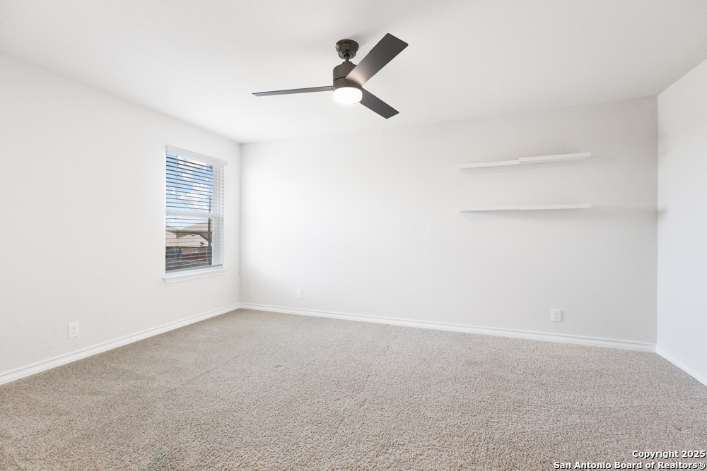 13110 Needle Grass