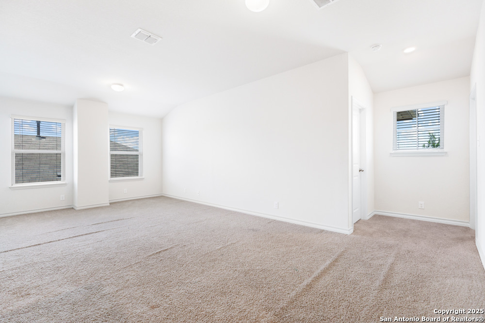 13110 Needle Grass