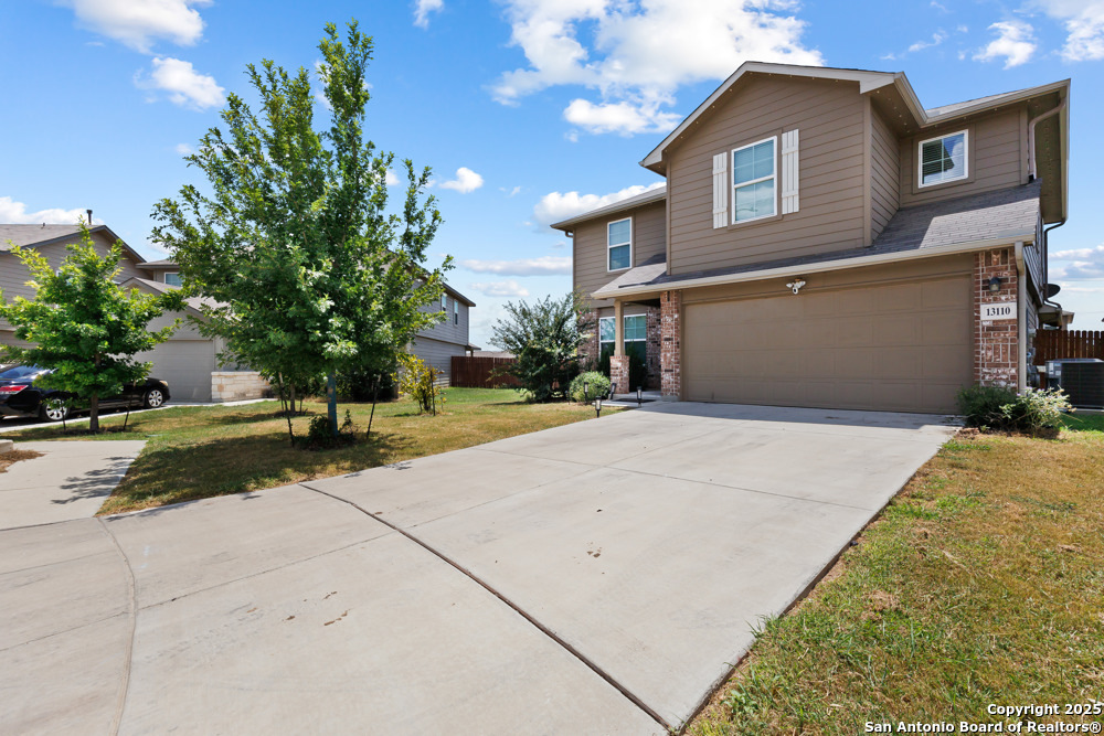 13110 Needle Grass