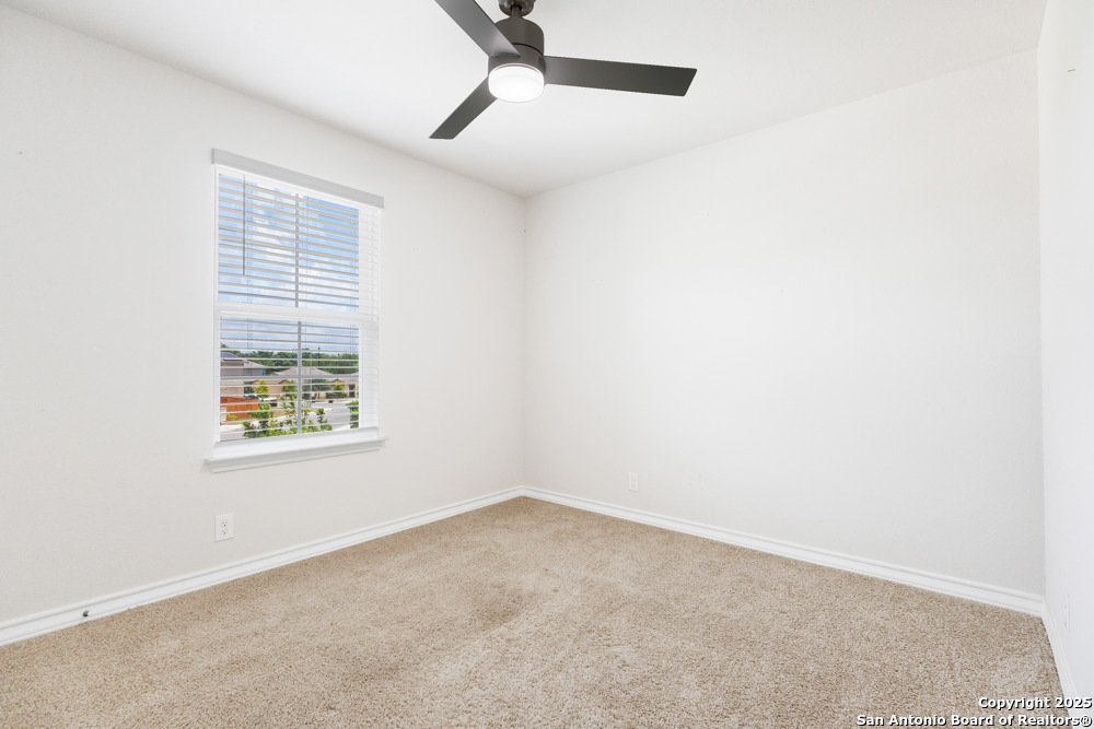 13110 Needle Grass