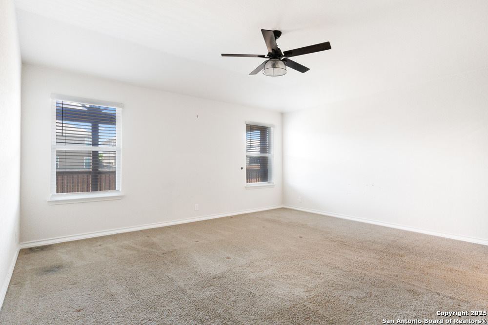 13110 Needle Grass