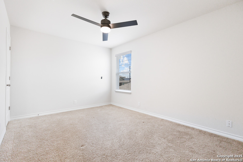 13110 Needle Grass
