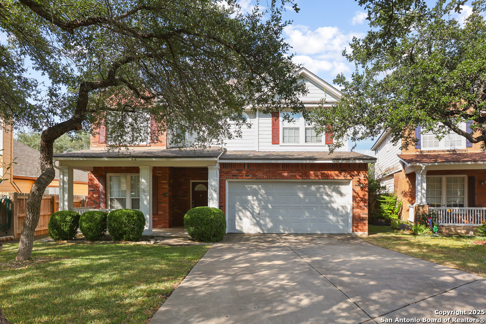 23623 Persian Hollow