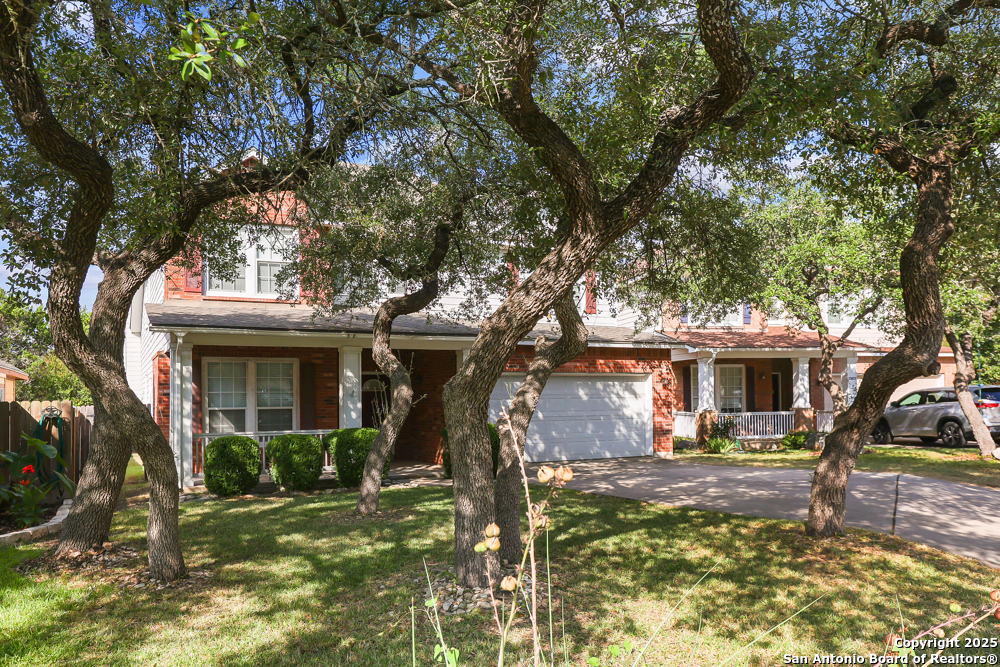 23623 Persian Hollow