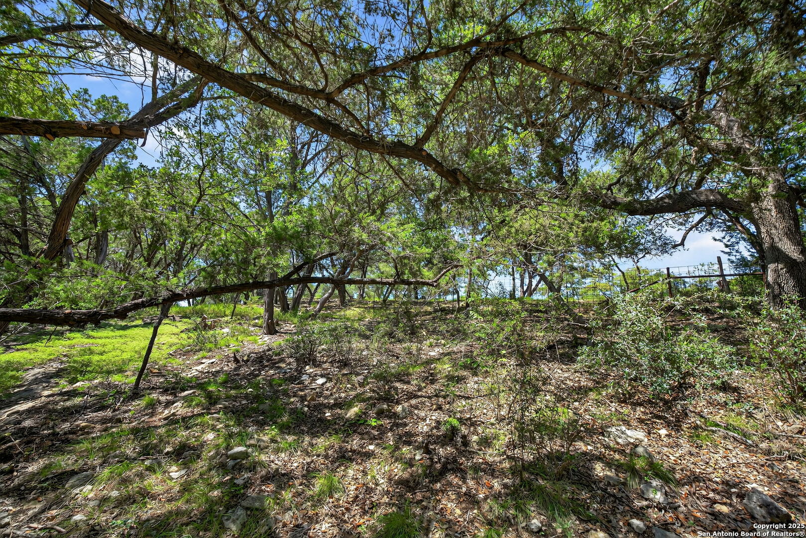 924 Wagon Creek