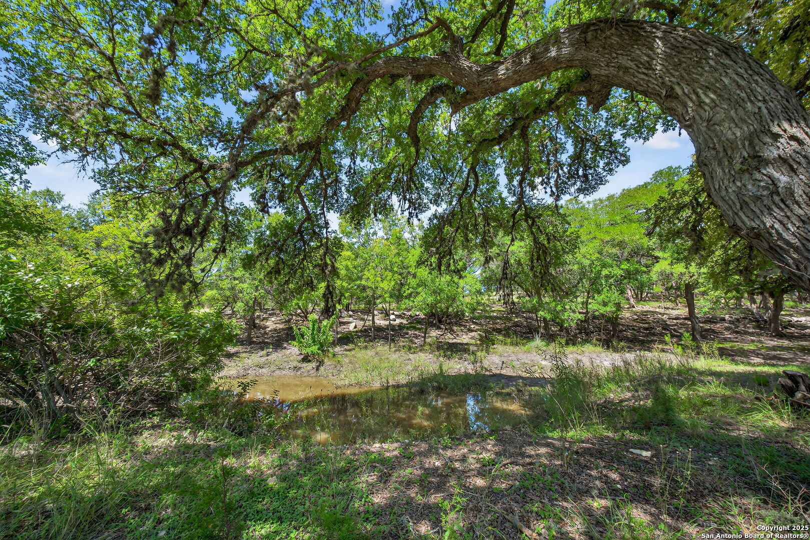 924 Wagon Creek